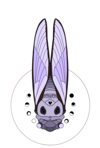 cicada-skull2